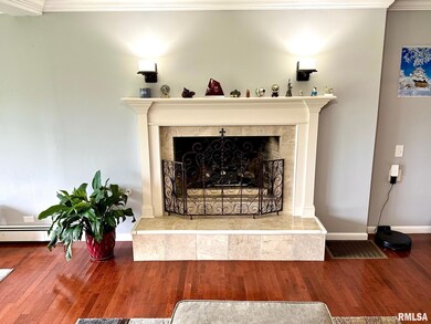 203 Leland Lake Dr, Jacksonville, IL 62650 - photo 6