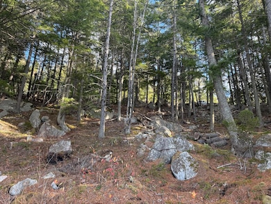 15-54 Cottage Shore Dr, Holden, ME 04429 - photo 4