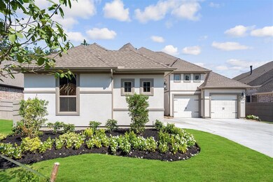 15329 Garnet Groves Dr, Conroe, TX 77302 - photo 4