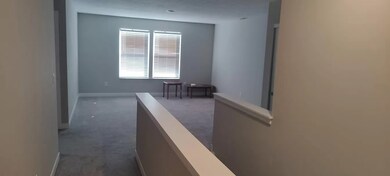 2534 Mounts Run Ln, Whitestown, IN 46075 - photo 7