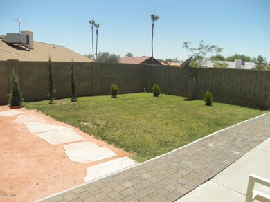 Green grass back yard