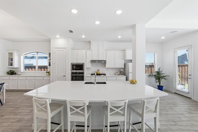 1816 Narita Bend, Aledo, TX 76008 - photo 6