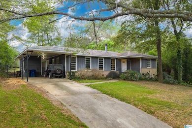 1308 Chester St, Birmingham, AL 35226 - photo 3