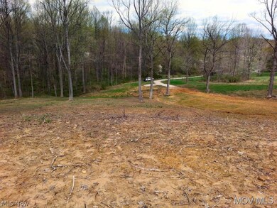 0 Henrie Ln unit M239703, Williamstown, WV 26187 - photo 6