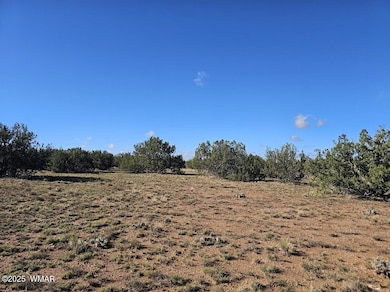 0 unit 258851, Heber, AZ 85928 - photo 7