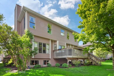 4112 Joe Willie Dr, Naperville, IL 60564 - photo 2