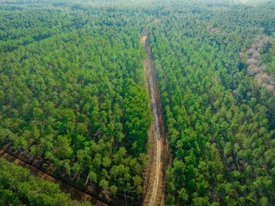 Hwy 45, Loris, SC 29569 - photo 7