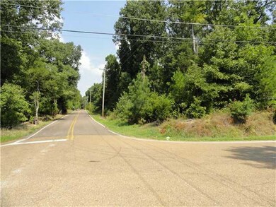 View of property looking north on Reid-Hooker Rd.