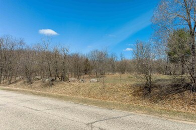 Lots 1-2 N Front St, Coloma, WI 54930 - photo 4