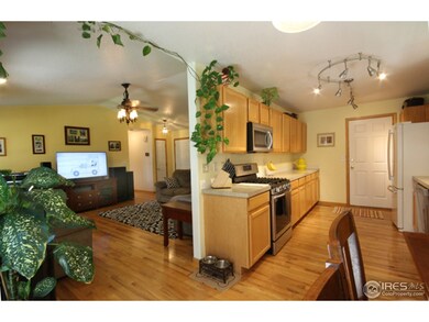 kitchen living room from dining room