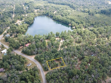 8532 1st St, Baldwin, MI 49304 - photo 4