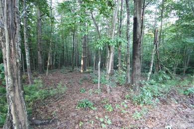 TBD Poplar Bluff Dr unit 41, Lenoir, NC 28645 - photo 6