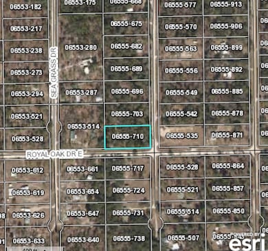 00 Reed Dr, Perry, FL 32348 - photo 6