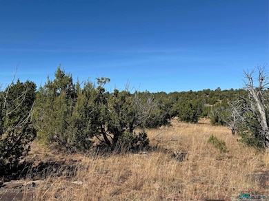158.81 ac Off Cr B27a Rd, Bernal, NM 87569 - photo 4
