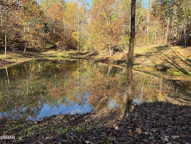 00 Thorngrove Pike, Kodak, TN 37764 - photo 7