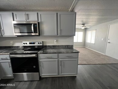 10701 N 99th Ave unit 249, Peoria, AZ 85345 - photo 4