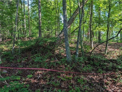 772 Naomi Ct, Ranger, GA 30734 - photo 6