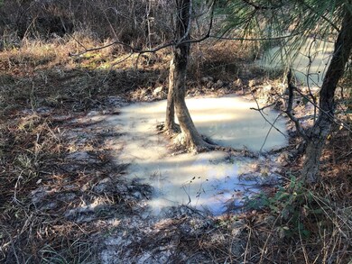 0 Highway 160 unit 21090372, Plain Dealing, LA 71064 - photo 7