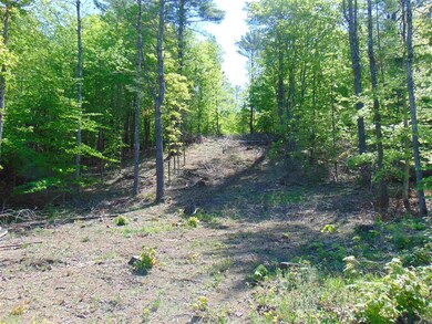 2 Crepeault Hill Rd unit 2, Saint Johnsbury, VT 05819 - photo 4