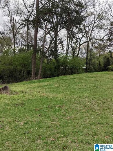 Looking from the front towards the back of the lot