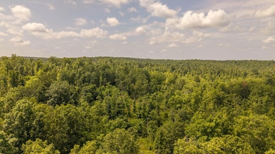 0 Bobcat Ln, Mammoth Spring, AR 72554 - photo 6