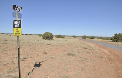 14 Cr 5525, Concho, AZ 85924 - photo 3