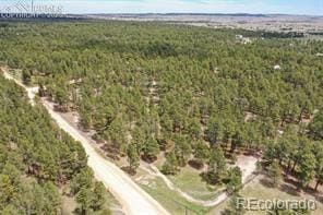 12375 Mount Shasta Dr unit 1, Elbert, CO 80106 - photo 3