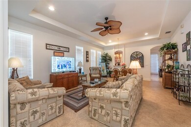 Living Room View