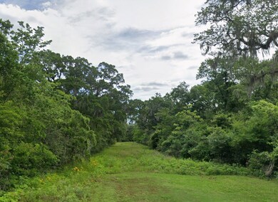 0 Pecan Dr unit Brazoria TX 77422, Brazoria, TX 77422 - photo 5