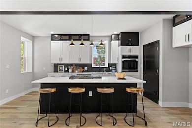 3407 Giles Ave, Saint Louis, MO 63116 - photo 7