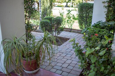 Front Yard Garden