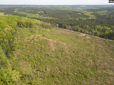 TBD/40 Cunningham Quarters Rd, Heath Springs, SC 29058 - photo 7