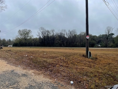 10359 U S 80, Shorter, AL 36083 - photo 2