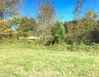 123 Zurich Ln, Statesville, NC 28625 - photo 7