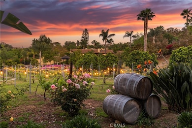 Gorgeous evening view of the vineyard