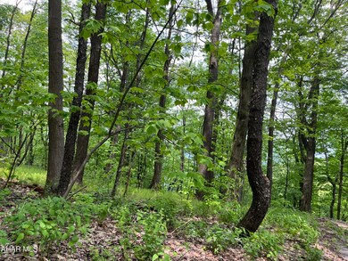 00 Ridge Run Rd unit Lot 167, Claysburg, PA 16625 - photo 6