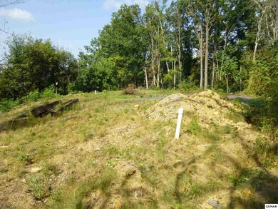 Additional View 7