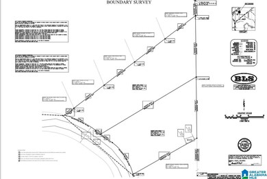 0 Oak Ridge Dr unit 21431508, Oneonta, AL 35121 - photo 3