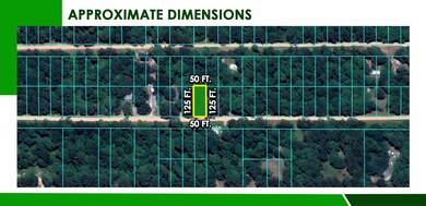 Messer Rd, Saratoga, TX 77585 - photo 6