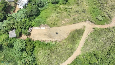 Carr 773 Km 2 6, Barranquitas, PR 00794 - photo 2