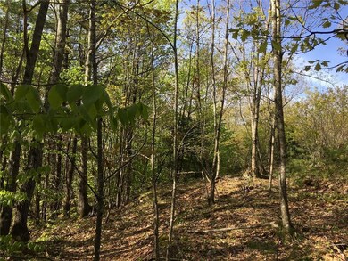 14 Pleasant Hill Rd, Freeport, ME 04032 - photo 3