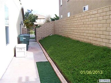 Left Side Yard