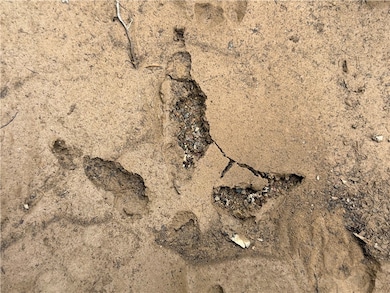 Tract 7 Nwf 517, Other Ar, AR 71935 - photo 6