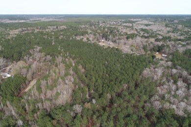 DJI_0520