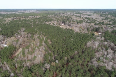DJI_0520
