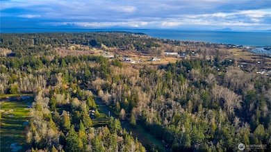 230 Iris Blvd, Point Roberts, WA 98281 - photo 7
