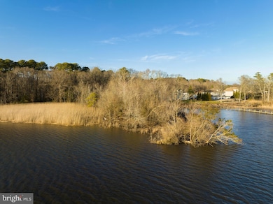 1410 Bell Island Trail, Salisbury, MD 21801 - photo 2