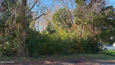 0 George St, Belhaven, NC 27810 - photo 4