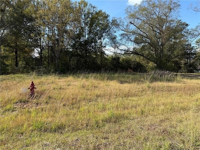 43503 Springwood Way, Hammond, LA 70403 - photo 2