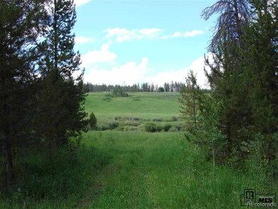 32615 Colt Trail, Oak Creek, CO 80467 - photo 7